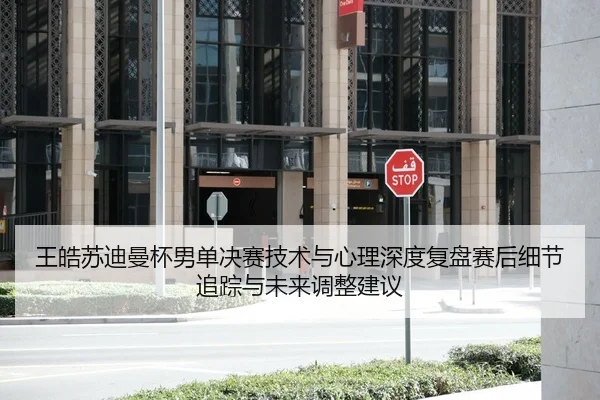 王皓苏迪曼杯男单决赛技术与心理深度复盘赛后细节追踪与未来调整建议
